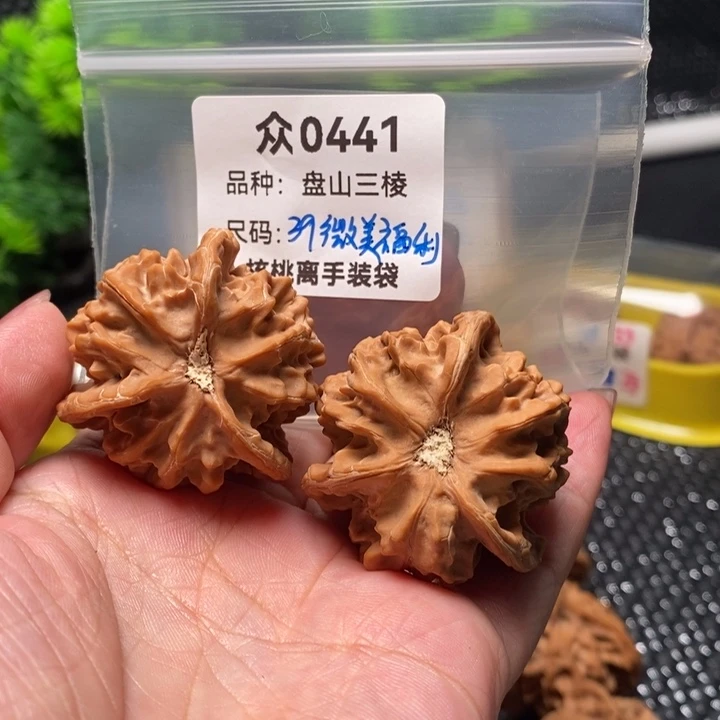****）吊坠桃核众0441-盘山39微美福利