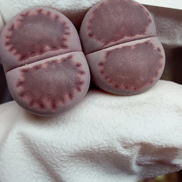 好喜欢看肖蘸在线采访044这个