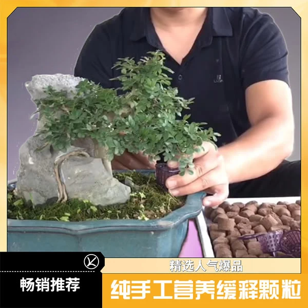盆栽适用有机质无异味大颗粒缓释颗粒纯手工促进溶解土壤混合