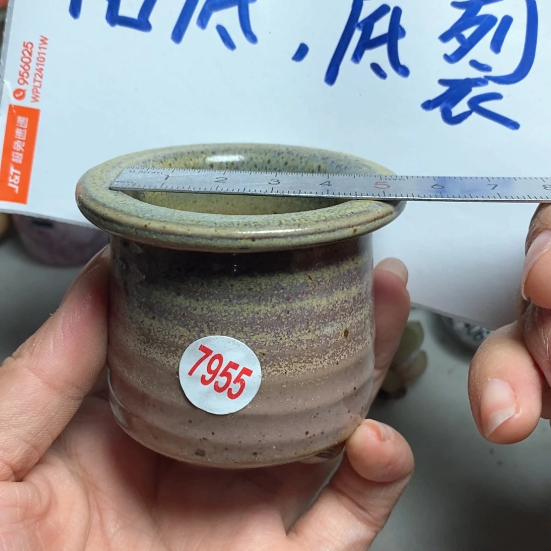 拍5送一个小礼物