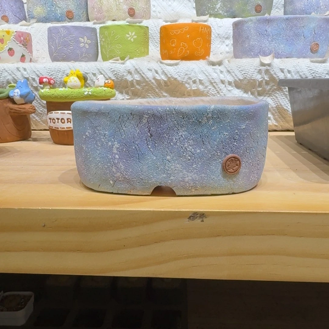 红陶风***?0202-76盆盆盆