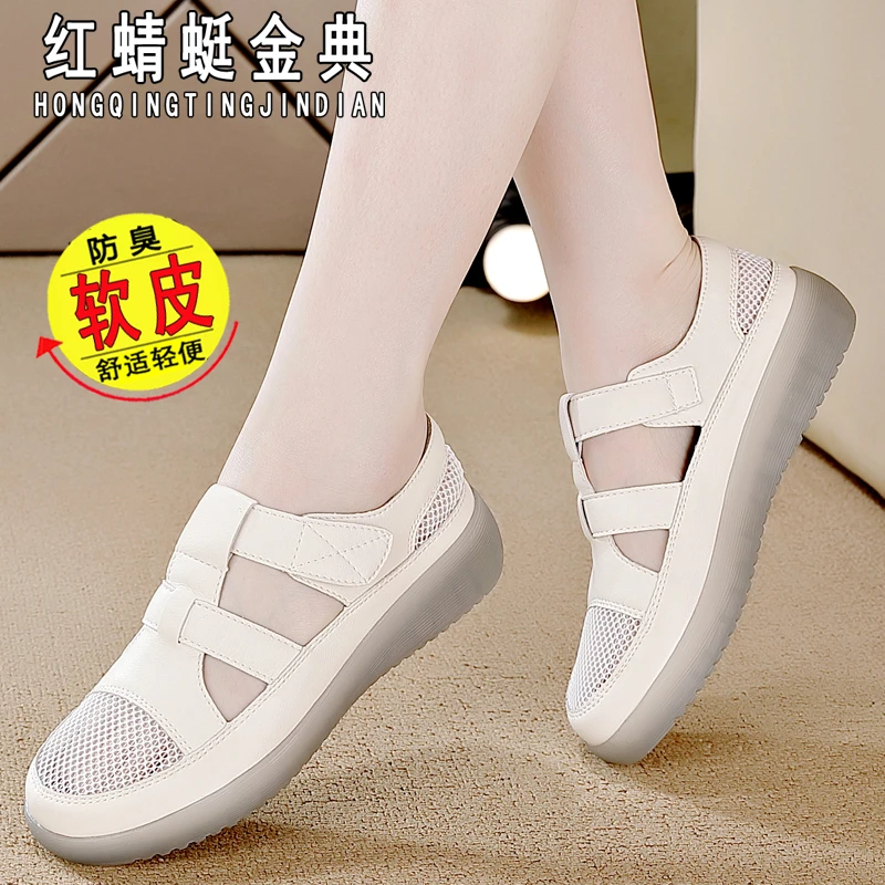 红蜻蜓金典休闲鞋2025春季新款透气简约百搭时尚软底轻便防滑单鞋