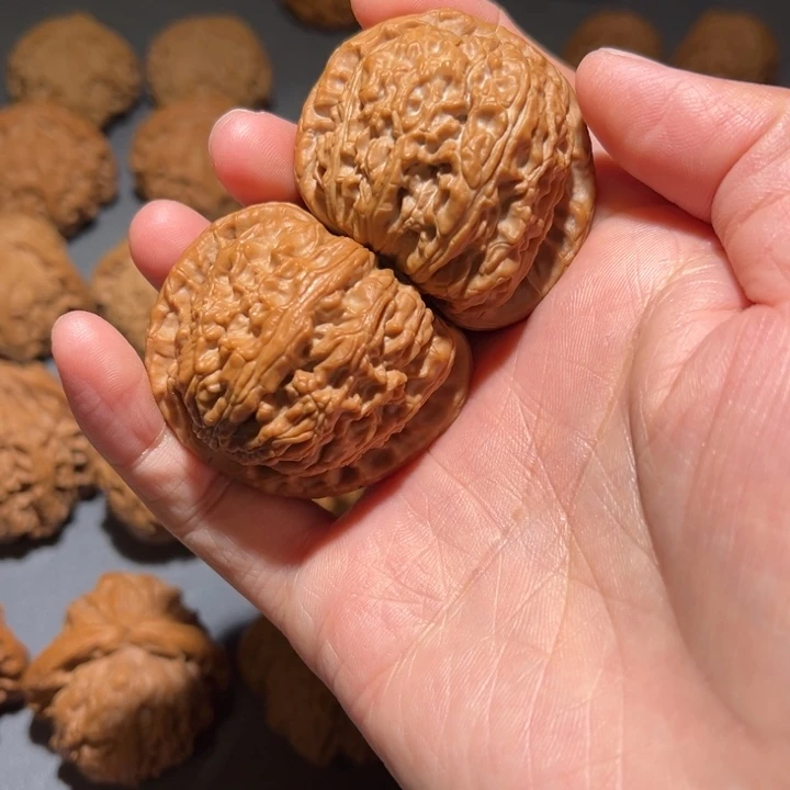 文玩核桃把件42尺异形白狮子