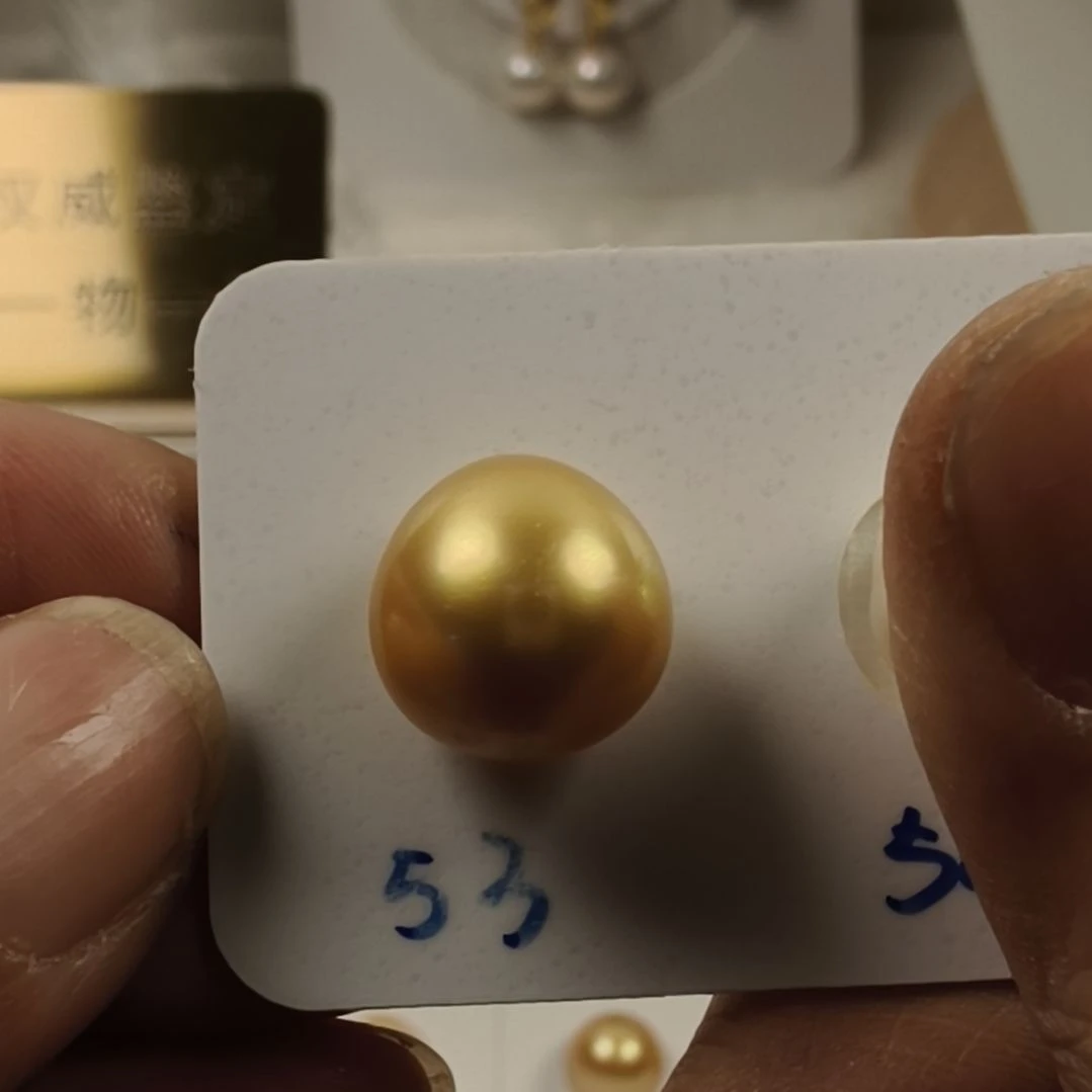 耳饰海水珍珠银S925镶嵌