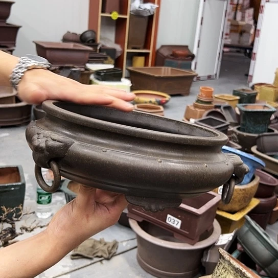 紫砂花盆中香气扑鼻一