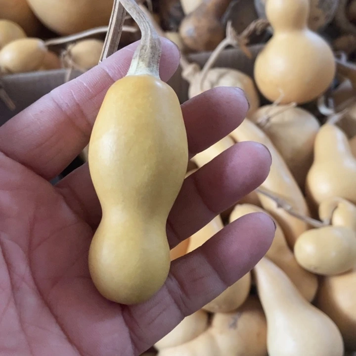 云*zvvxhsushxvagszsa