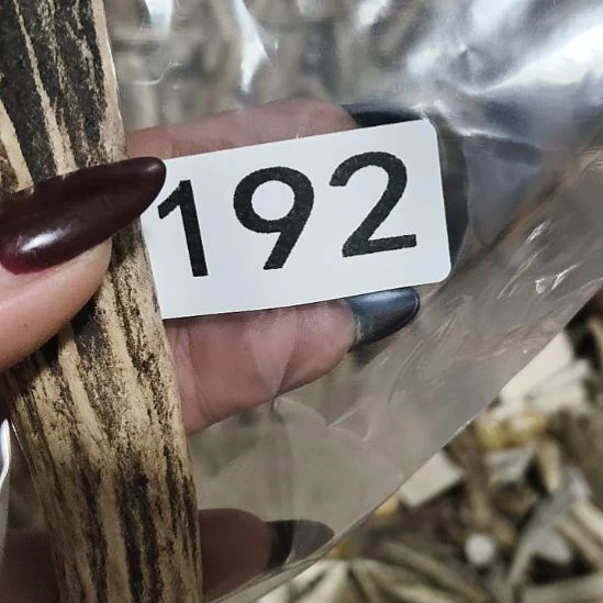 王***岩鹿角鹿角鹿角鹿角鹿角鹿角
