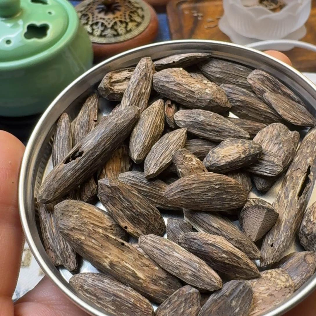 树脂制品深圳野瓜子一份打包10