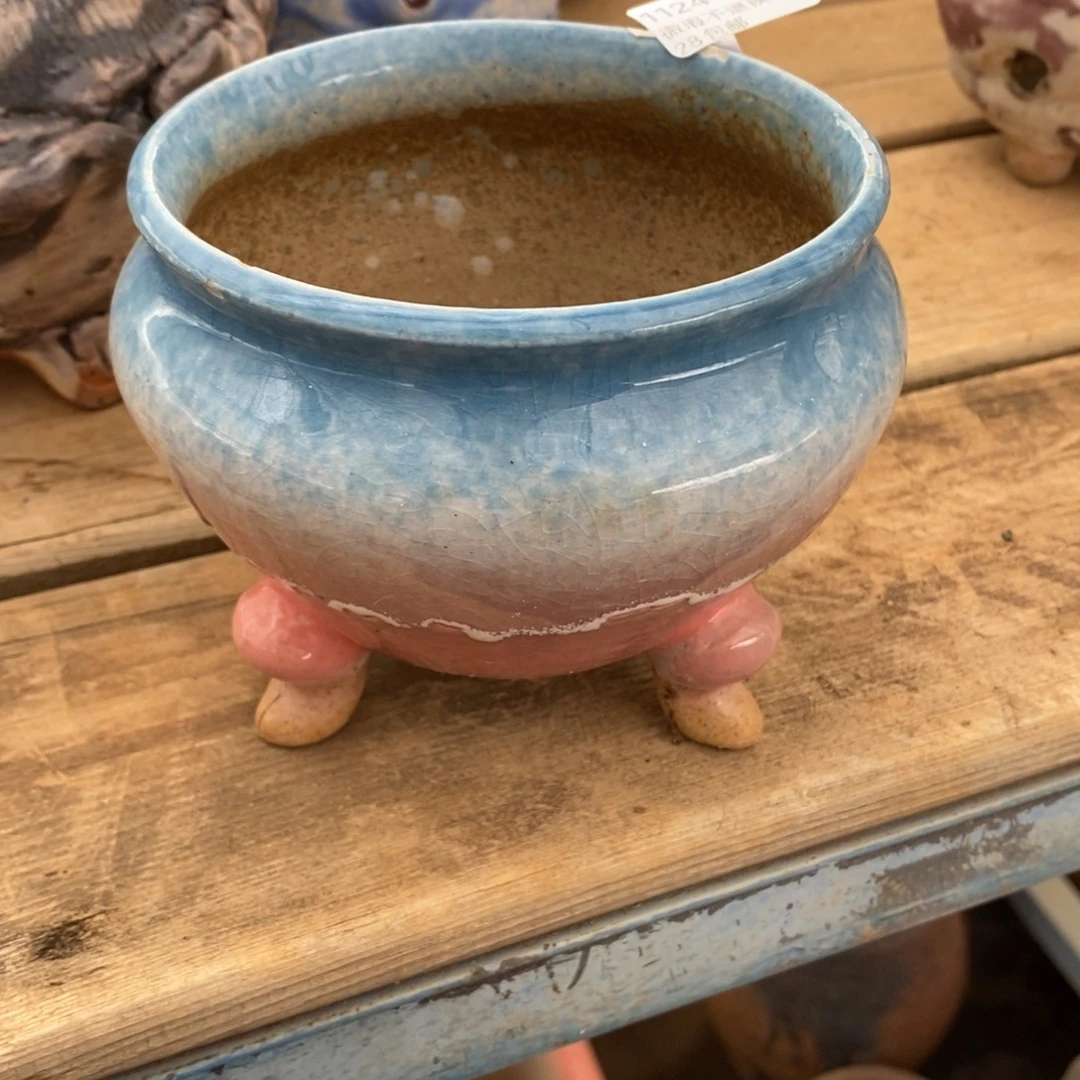 105号多肉盆口径10