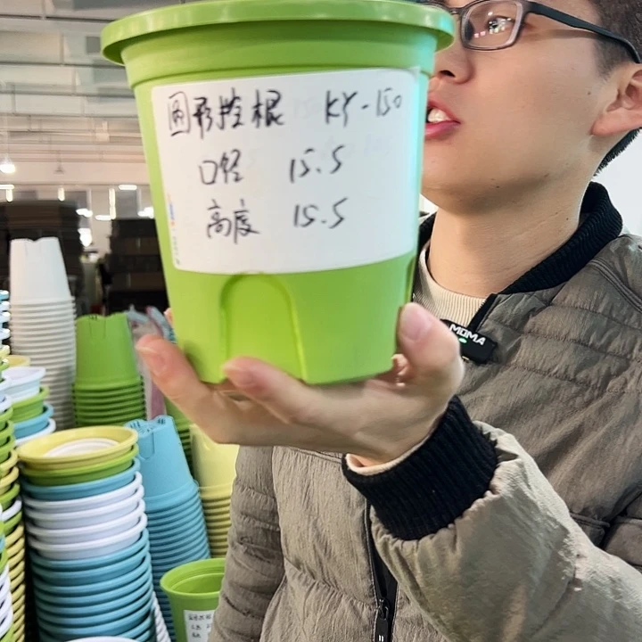 正品圆控口15高15果绿无托10只