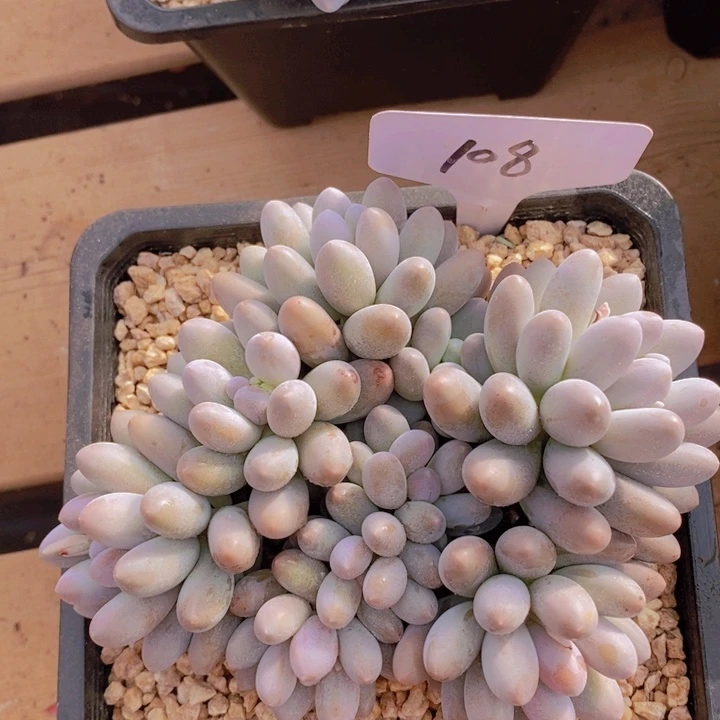 这个点就不应该喝