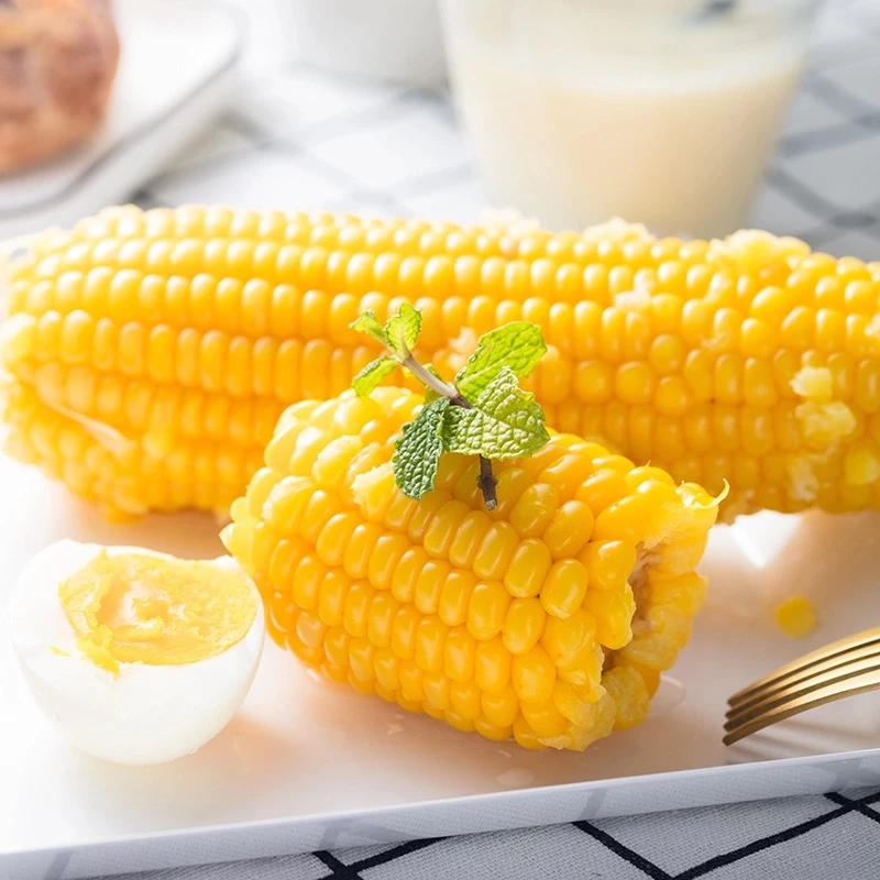 东北黏糯玉米香甜可口软糯10根【小棒】