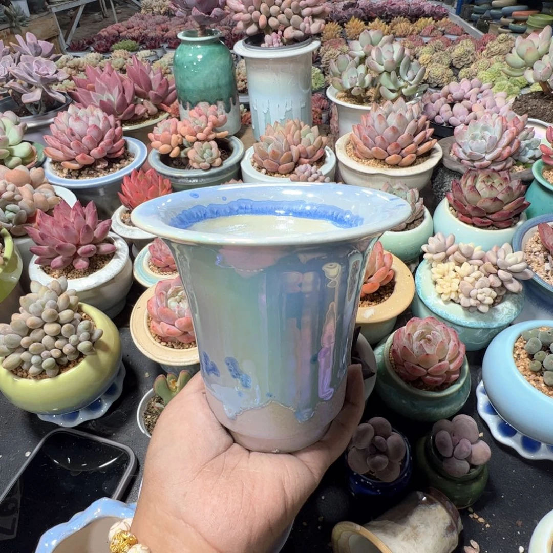 凑满50发货 内口11