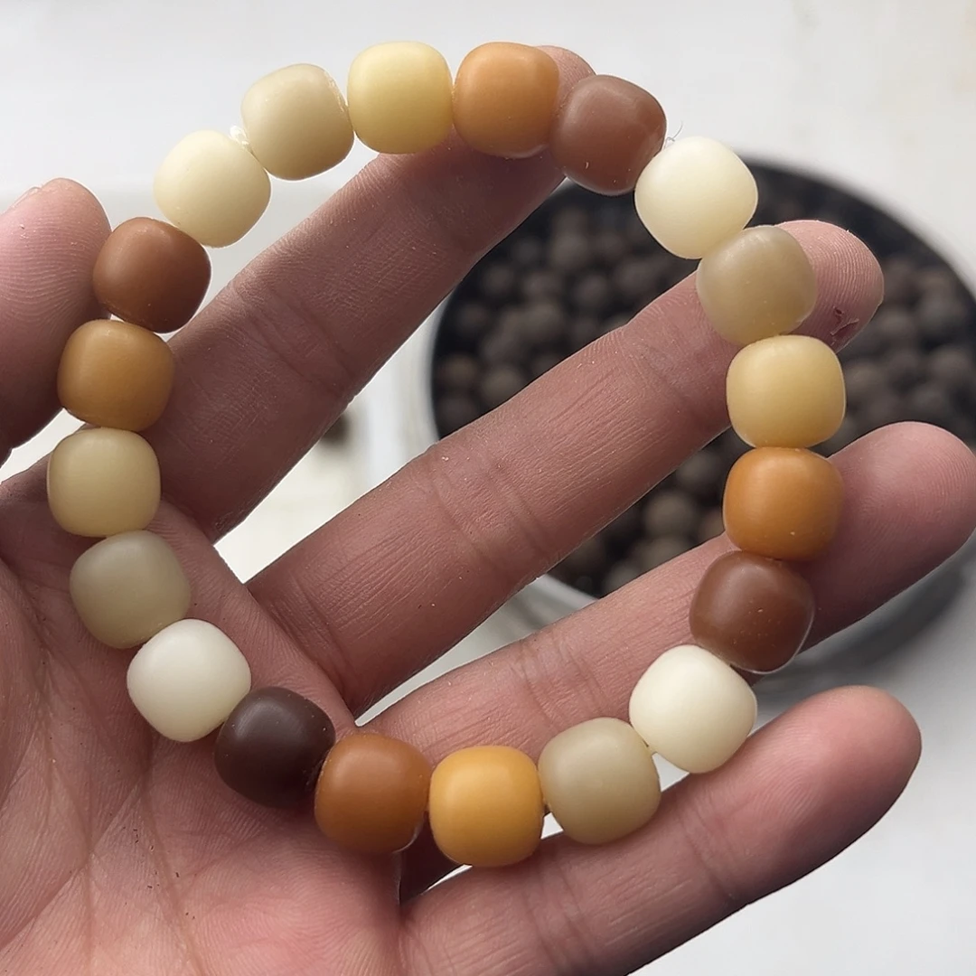 菩提根/象牙果手串