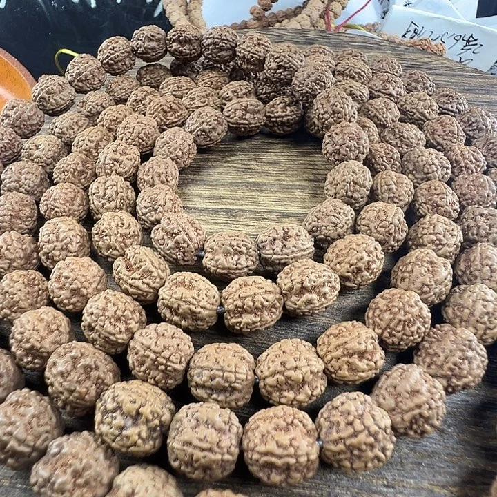 吊坠金刚菩提至尊花龙11m，保手持