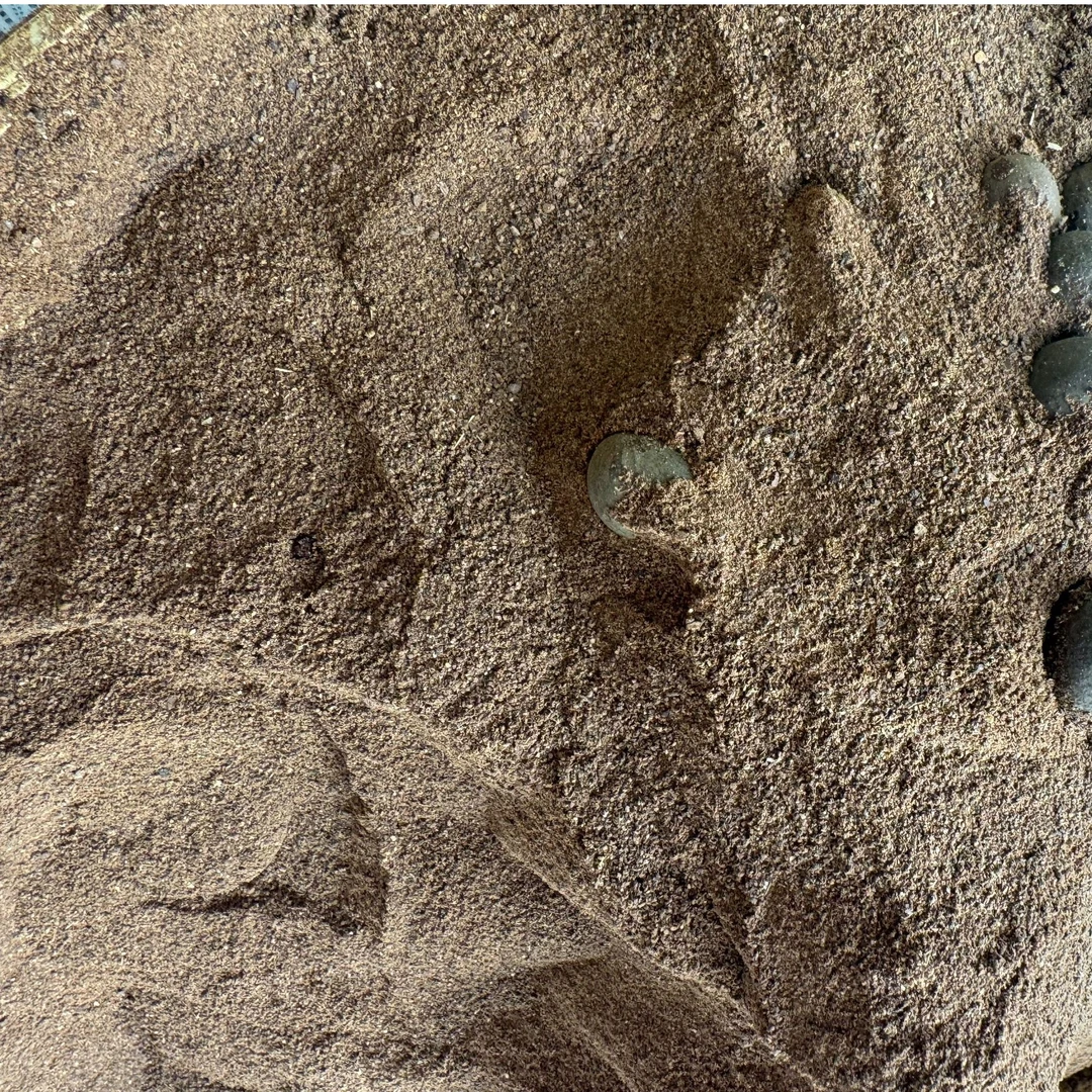 【植物养发】传统压榨茶麸粉茶籽粉茶枯粉 侧柏叶粉 草本清洗洗头