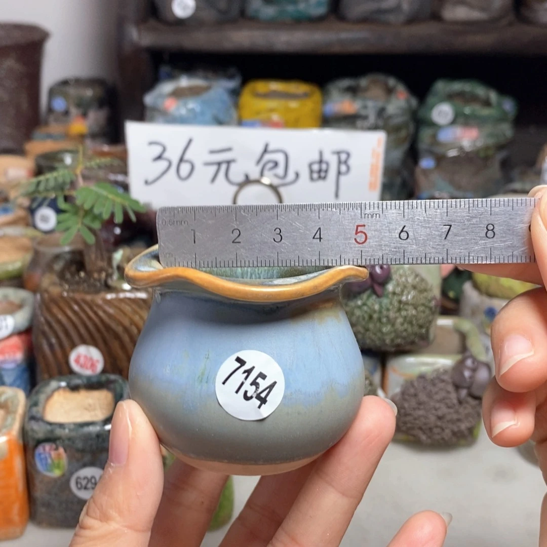 拍5送一个小礼物