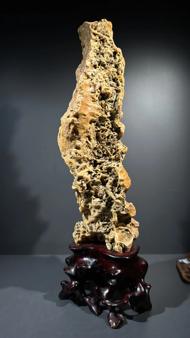 沙漠漆脊骨纹龙柱阿拉善请看好下单不退不换