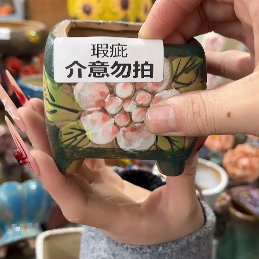 【闪购商品】红陶墨绿