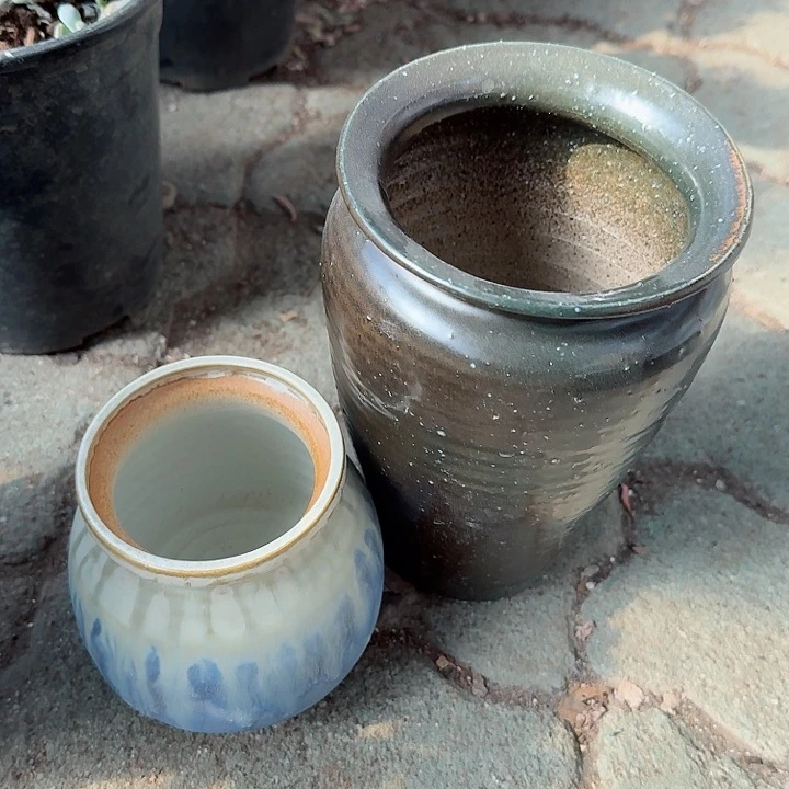 麦饭石人，铁器多肉植物