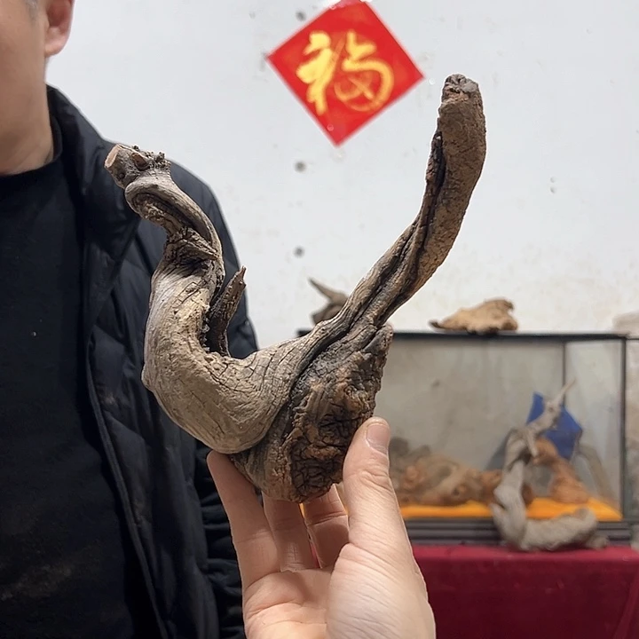 柏木邯****店我们都是好孩子呀