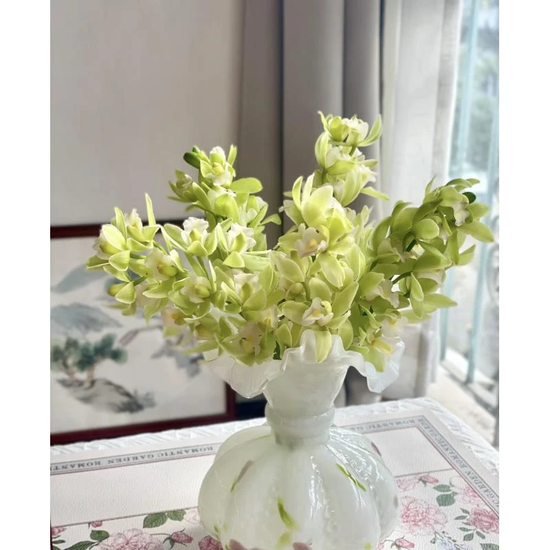 绿精灵翡翠大花蕙兰