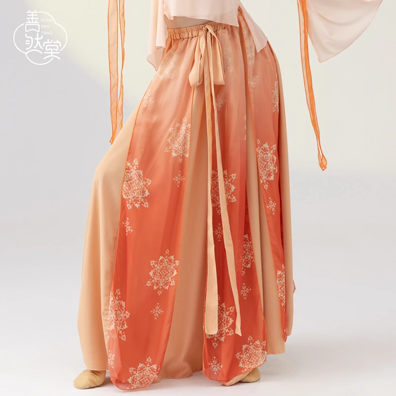 善然堂舞蹈纱裙古典舞裙720度大摆裙飘逸女演出服半身长款连衣裙