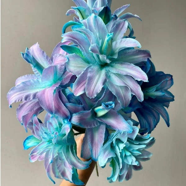 【幻境】高品质吸色重瓣百合 云南鲜花一单也包邮 发货后不支持退款