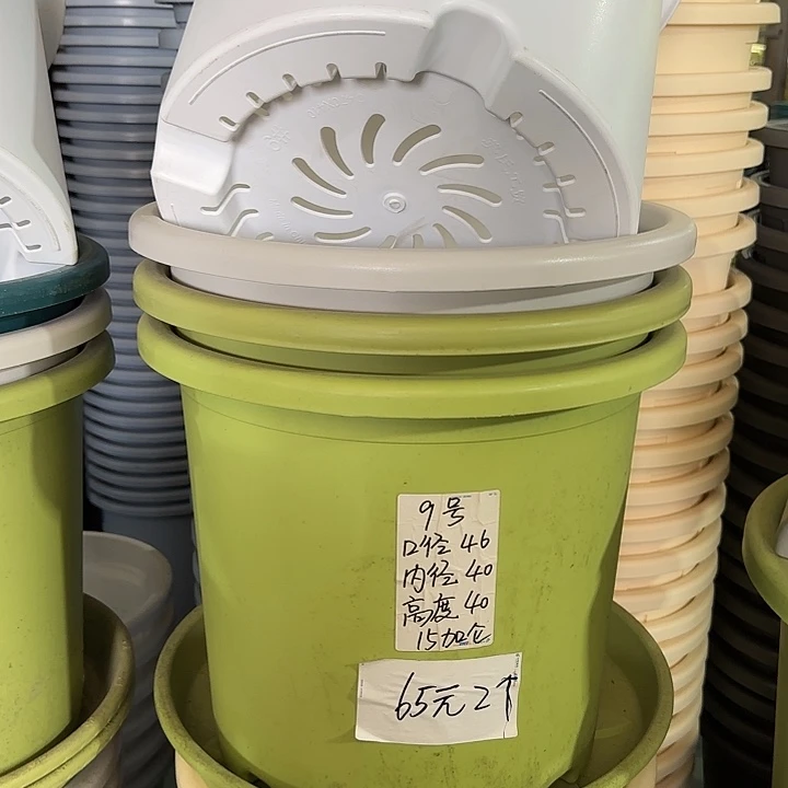 微瑕9#口径46无托果绿3个