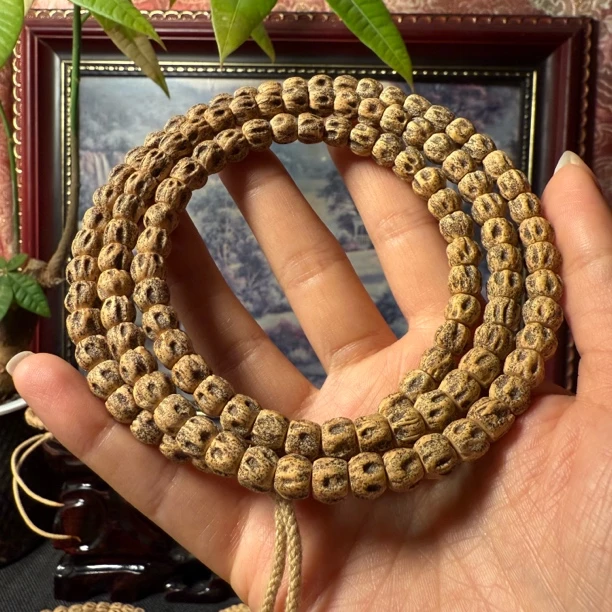 热振百香万鬼尸陀林深坑鬼长串