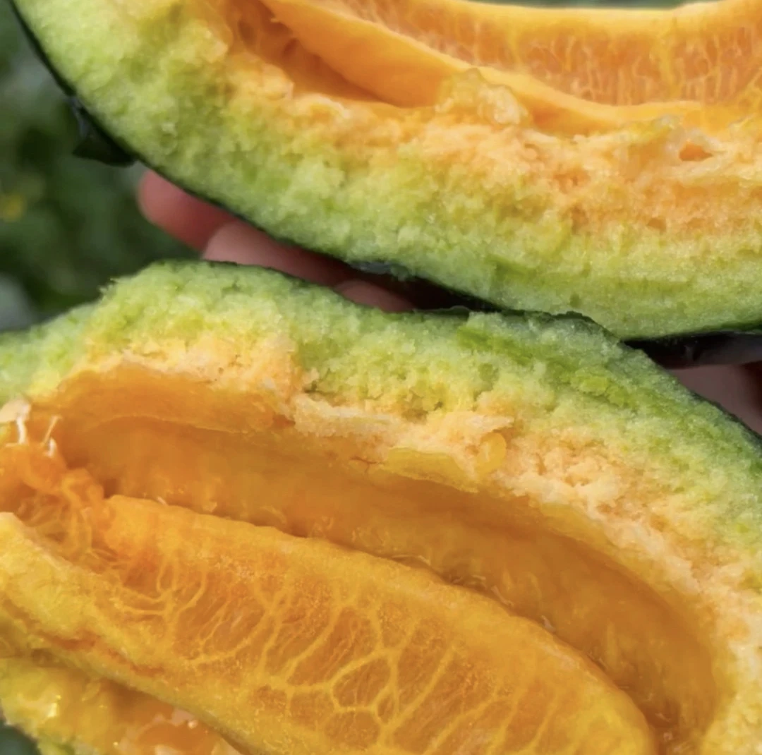 【黑皮面瓜种子】阳台小院地栽甜如蜜汉唐香甜