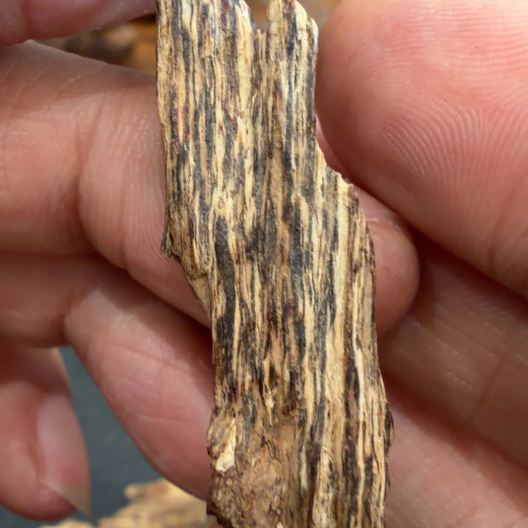 树脂制品1.03 克港黄棋韵树心油