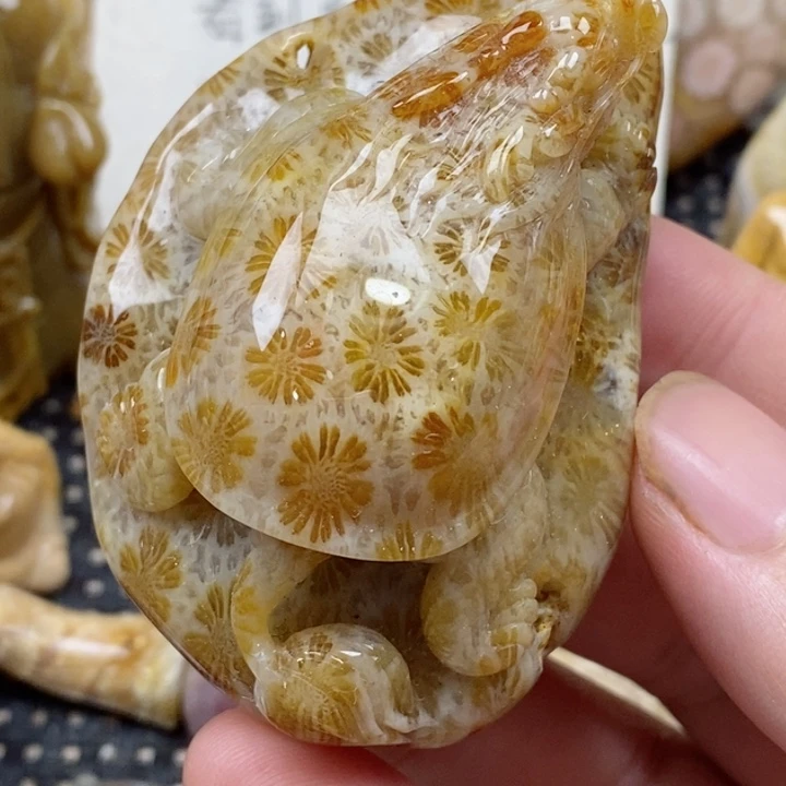 颈饰未镶嵌硅化珊瑚（珊瑚玉）