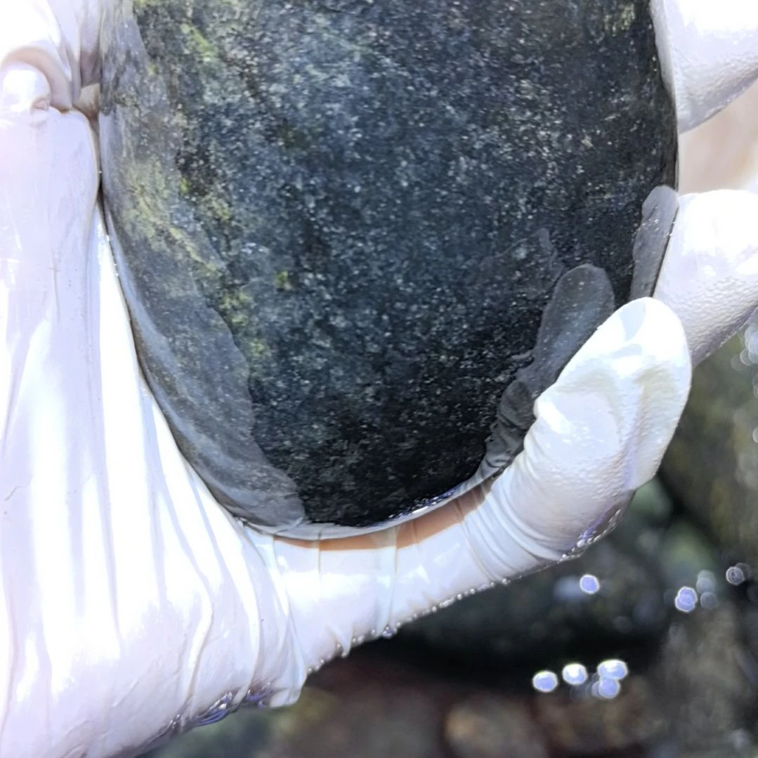 用***7藏玉药王石原石一个摆件