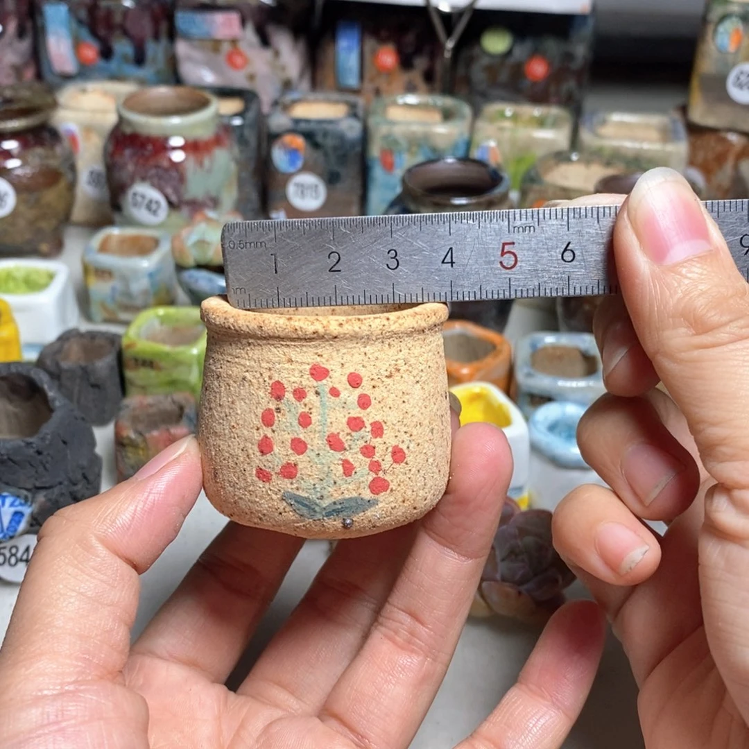 花*。处理的，不退不换的