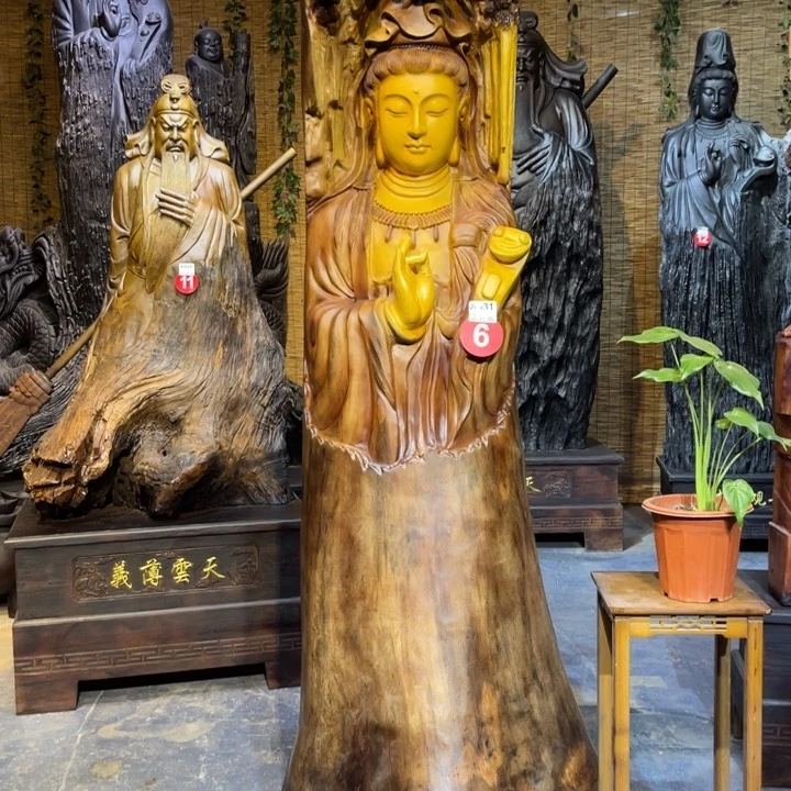 生***想香樟木63.53.230不上楼不入户