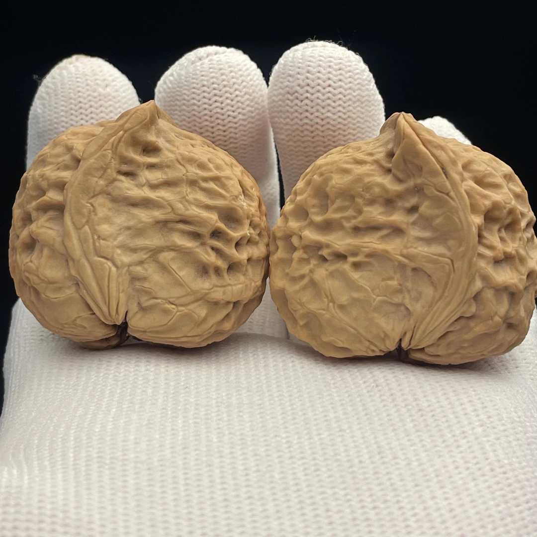 云南铁核桃半壁江山