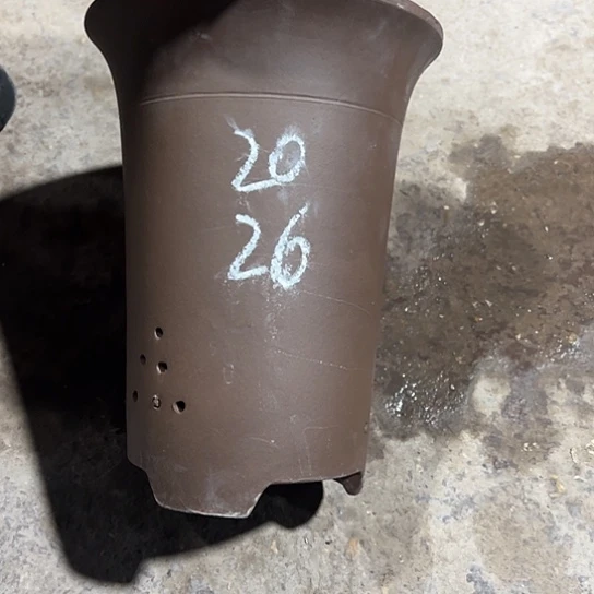 紫砂工艺厂……紫砂工艺厂……