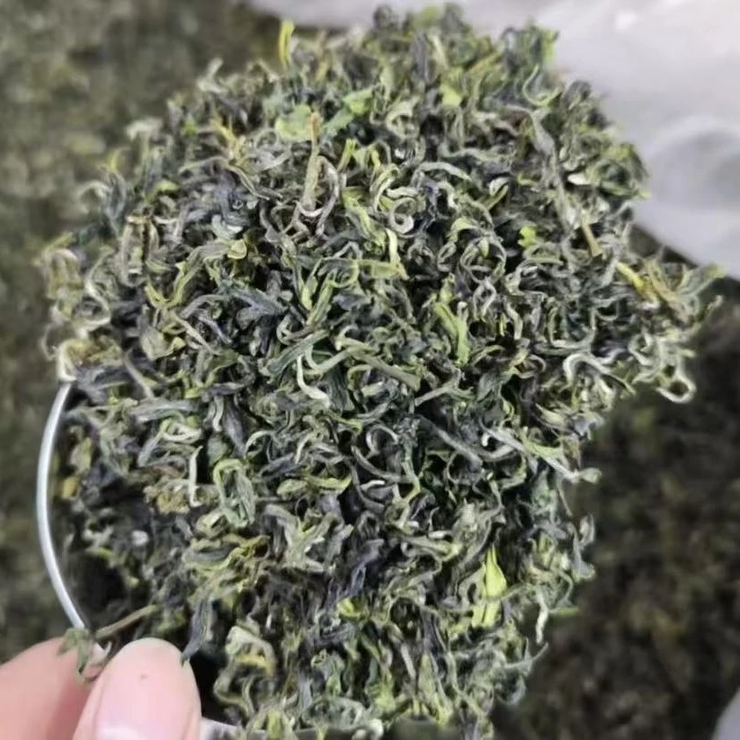 2025日照绿茶秋白露一芽两叶豌豆香