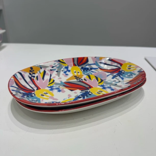 DannyHome美式波点汤菜盘果盘不规则圆形加深设计95dannyhome餐具