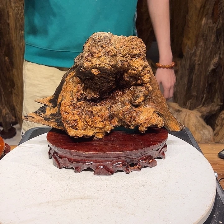 松木（琥珀木）x**平