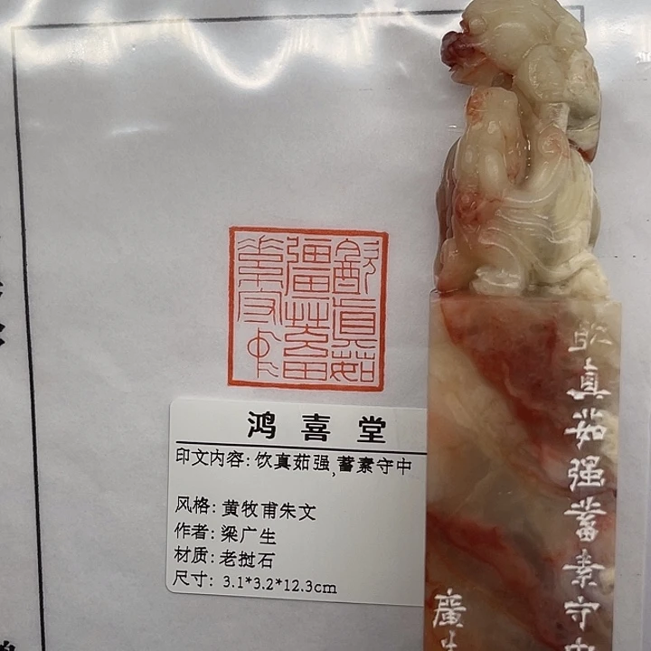 文***庵老挝石印石饮真茹强蓄素守中（梁广生）