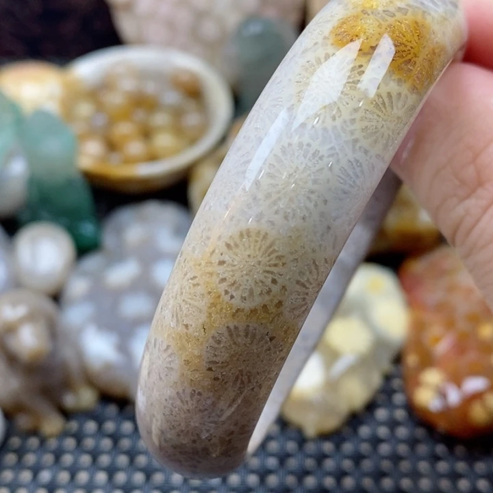 硅化珊瑚（珊瑚玉）颈饰未镶嵌57