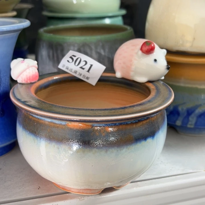 口9高7 ……活动价满30包邮