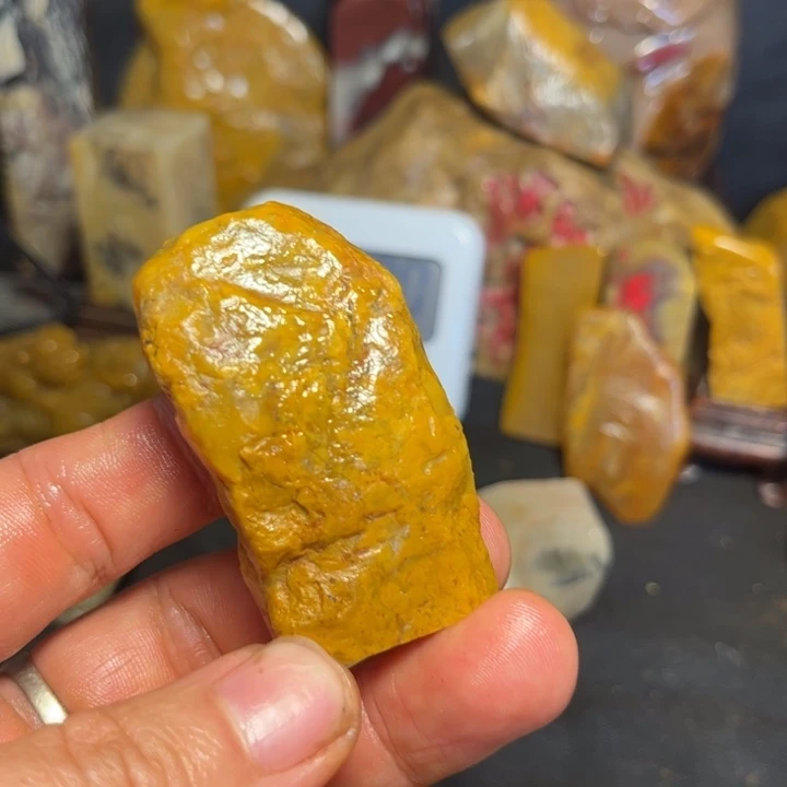 古***英昌化石国石昌化石