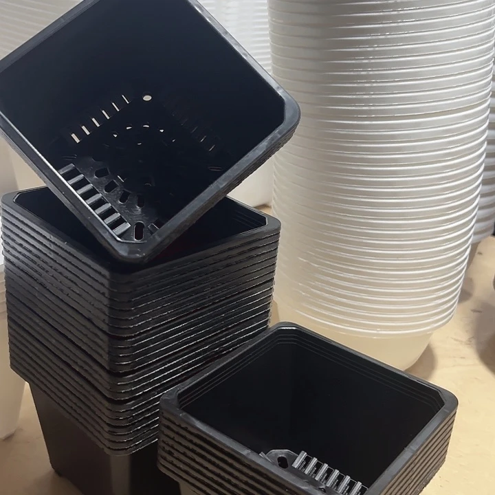 120黑方盆11公分高8分方12个