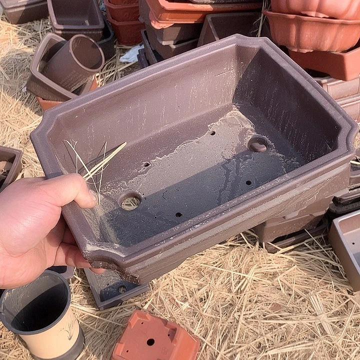 紫砂淘宝优惠券起单号