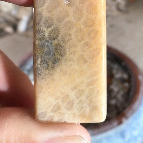 硅化玉吊坠未镶嵌