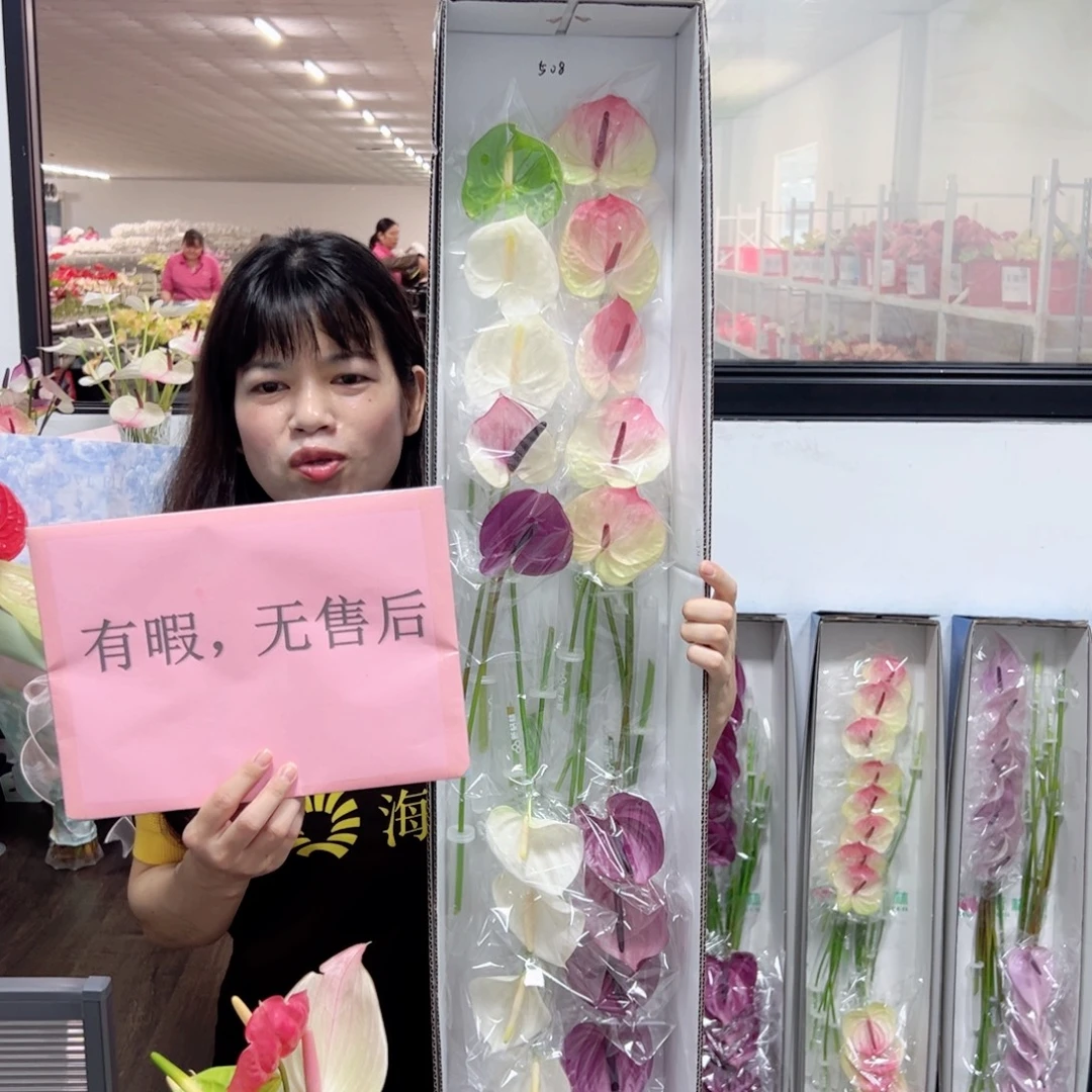 完全开放混色-20枝装无售后款508