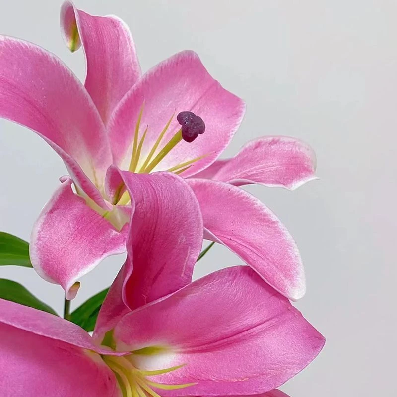 云南昆明基地直发香水百合花束水养家用插花速递
